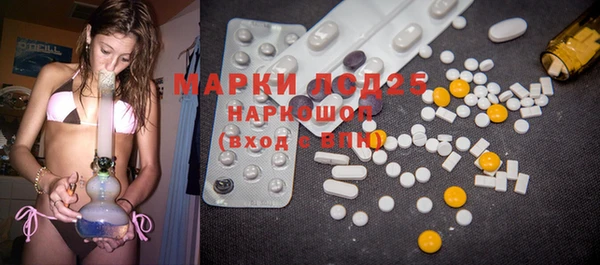 PSILOCYBIN Переславль-Залесский