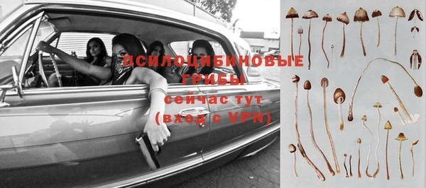 первитин Осинники